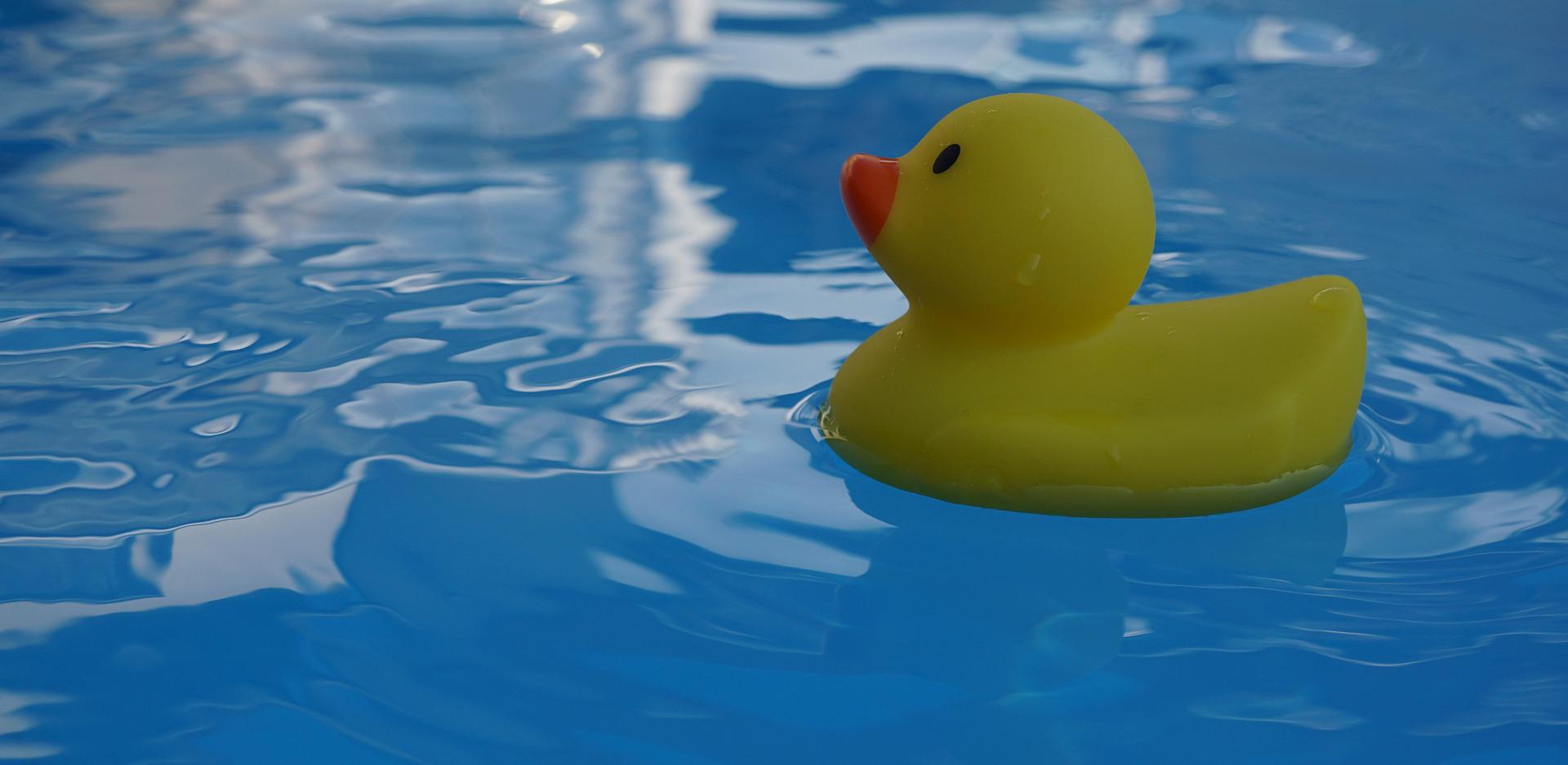 squeaky-duck-ga2a3c3da9-1920